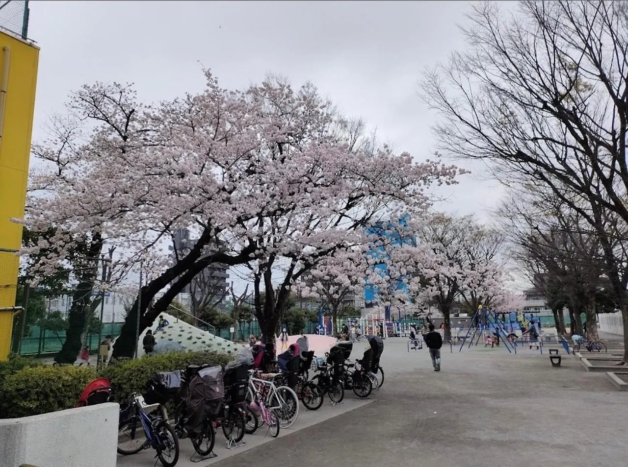 Pal Sky Tree Residence Prefektura Tokio 0*,